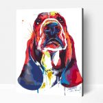 Bassethound