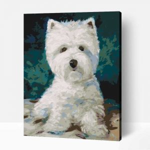 Havanese